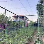 Hotel Tiny Datca